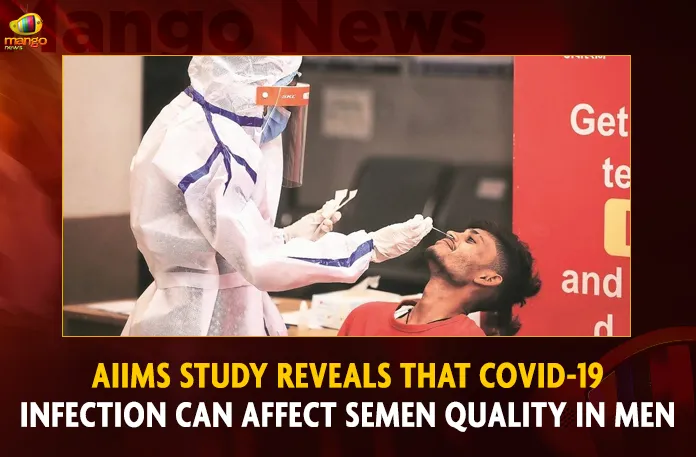 AIIMS Study Reveals That COVID-19 Infection Can Affect Semen Quality In Men,AIIMS Study,COVID-19 Infection,Can Affect Semen Quality,Semen Quality In Men,Mango News,Covid In India,Covid,Covid-19 India,Covid-19 Latest News And Updates,Covid-19 Updates,Covid India,India Covid,Covid News And Live Updates,Carona News,Carona Updates,Carona Updates,Cowaxin,Covid Vaccine,Covid Vaccine Updates And News,Covid Live