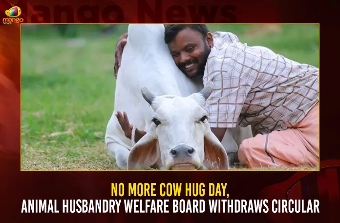 No More Cow Hug Day, Animal Husbandry Welfare Board Withdraws Circular |  Mango News